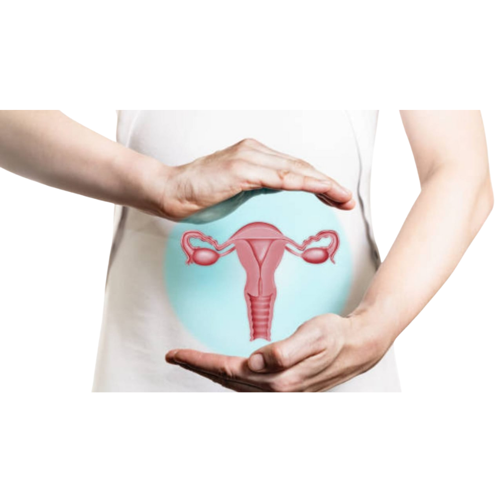 Women’s Health & Gynec Care