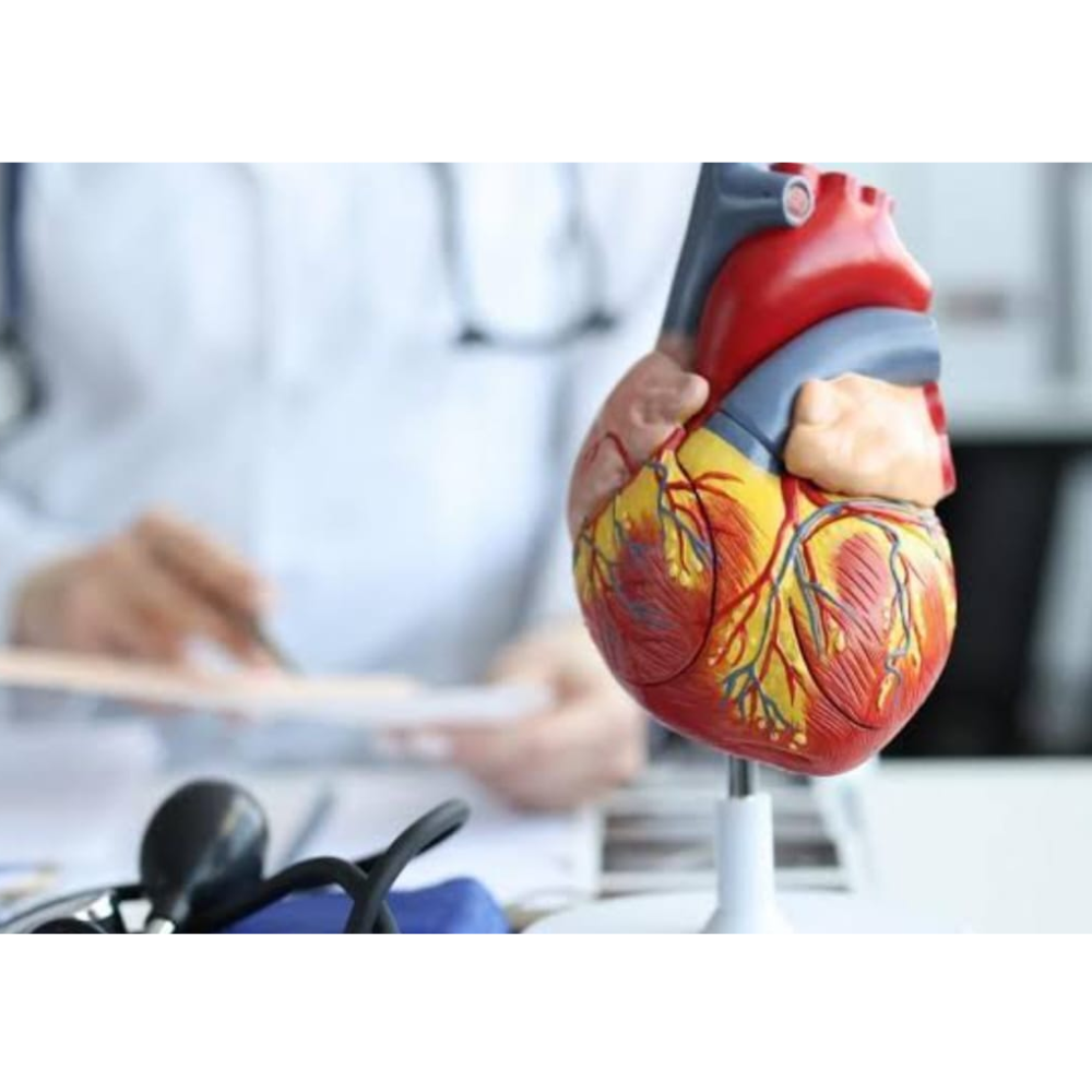 Cardio & Vascular Care